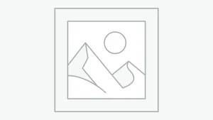 プレースホルダー